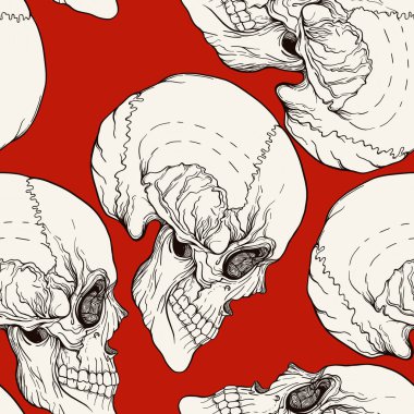 Seamless modeli, insan kafatası ile arka plan. Stok satırı vektör