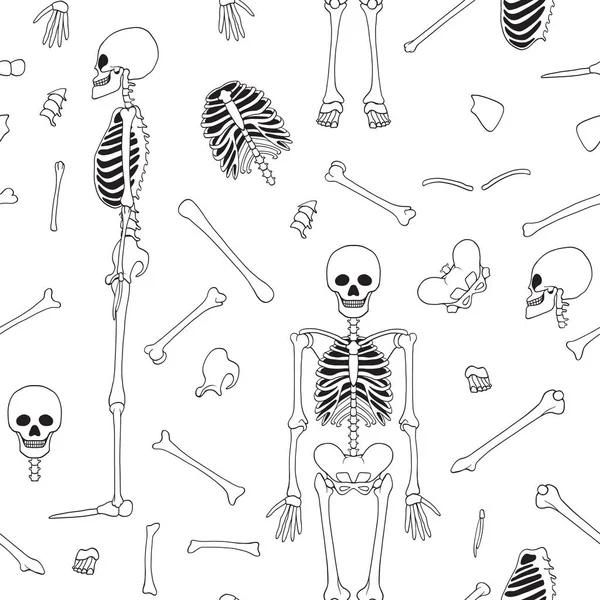 Modèle sans couture, fond avec squelettes dansants . — Image vectorielle