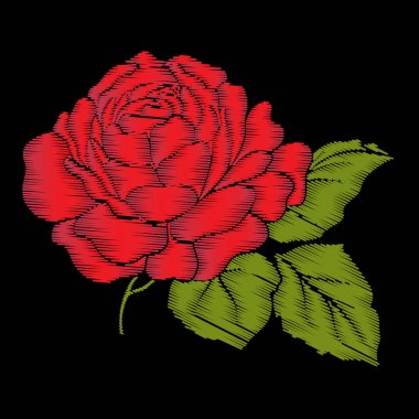 Nakış kırmızı yeşil yaprakları ile siyah arka plan üzerine yükseldi. Hisse senedi