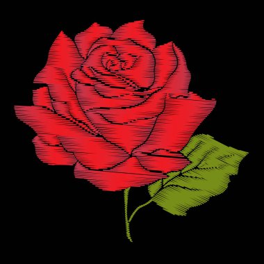 Nakış kırmızı yeşil yaprakları ile siyah arka plan üzerine yükseldi. Hisse senedi