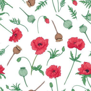 Dikişsiz desen, arka plan kırmızı haşhaş ile. Hisse senedi vektör