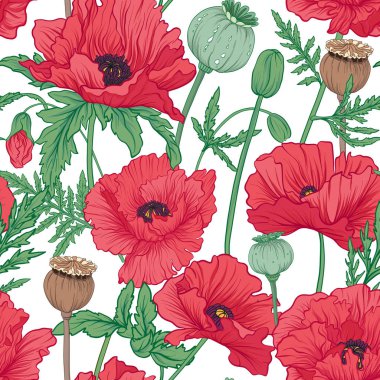 Dikişsiz desen, arka plan kırmızı haşhaş ile. Hisse senedi vektör