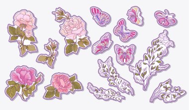 Plakası, elemanları, moda yama rozetleri gül, butte ile yamalar