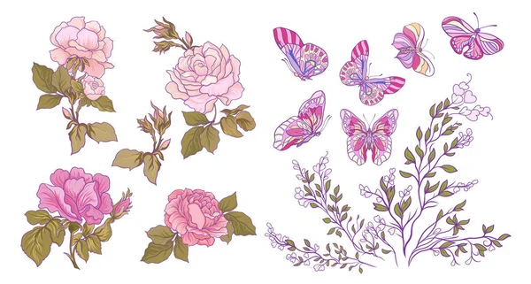 Gül, kelebek ve şube ayarlayın. Hisse senedi vektör çizim.