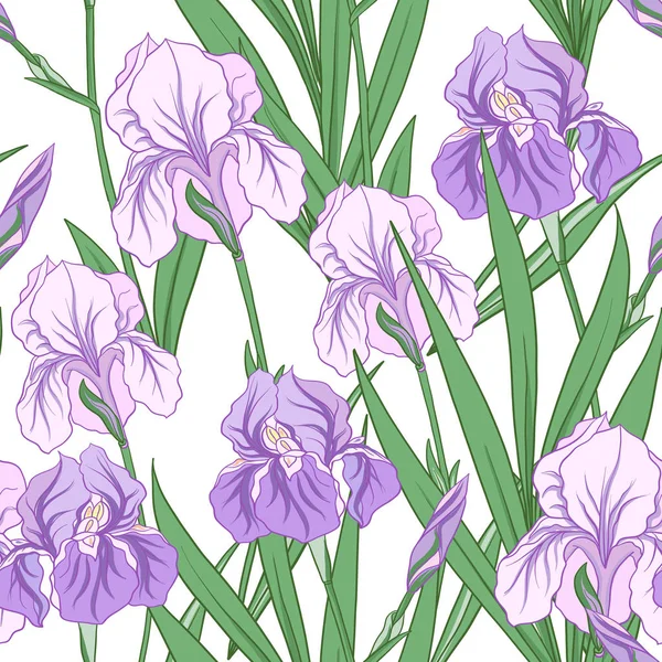 Japon tarzı mor iris ile Seamless modeli. Vektör stoc