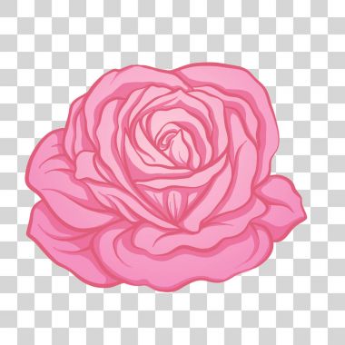 İzole pembe Gül çiçek. Hisse senedi vektör çizim.