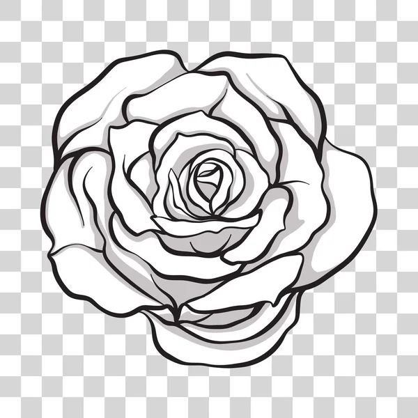 Isolated outline rose flower. Stock vector illustration. — Stock Vector