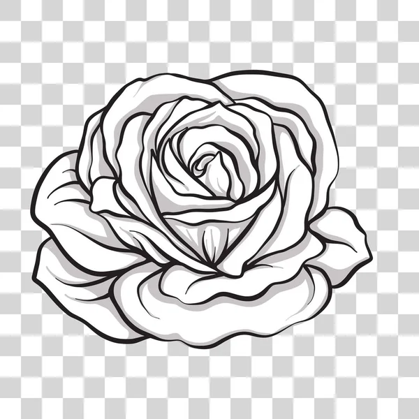 Fleur isolée contour rose. Illustration vectorielle de stock . — Image vectorielle