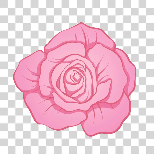 Απομονωμένη ροζ τριαντάφυλλο λουλούδι. Εικονογράφηση διάνυσμα απόθεμα. — Διανυσματικό Αρχείο