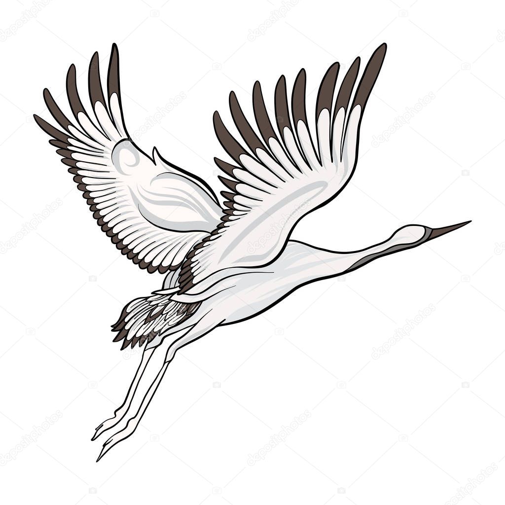 Japanese Crane Illustration