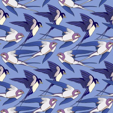 Renkli seamless modeli, kırlangıçlar ile arka plan.