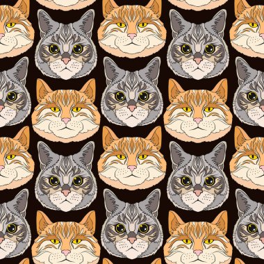 Renkli seamless modeli, kedi ile arka plan. Vektör çizim.