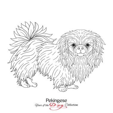 Fino. Siyah-beyaz grafik bir köpek çizim.