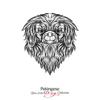 Fino. Siyah-beyaz grafik bir köpek başkanı çizim.