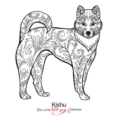 Kishu. Siyah-beyaz grafik bir köpek çizim.