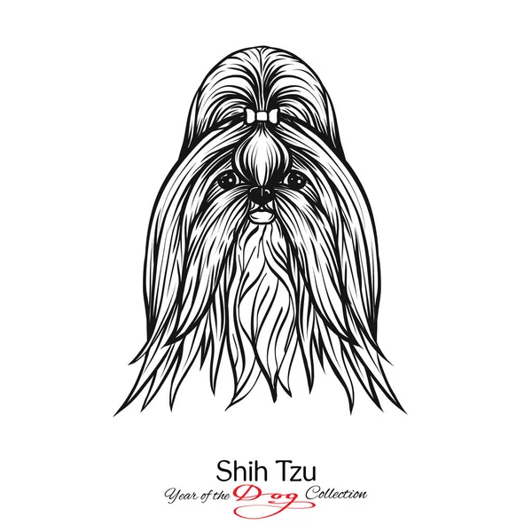 Shih Tzu. Desenho gráfico preto e branco de um cão . —  Vetores de Stock