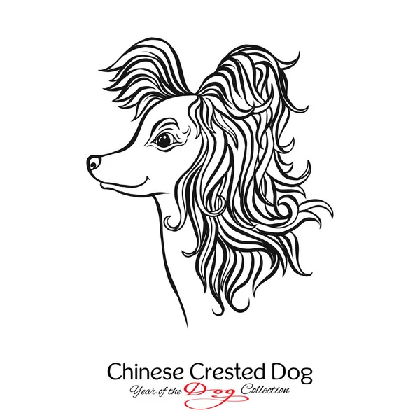Китайська хохлата собака. Чорно-білі зображення малюнок собаки. — стоковий вектор
