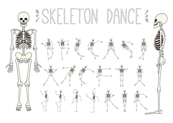 Set di scheletri danzanti . — Vettoriale Stock