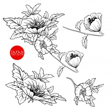 Çiçek dalı. Stok satırı vektör çizim botanik çiçek