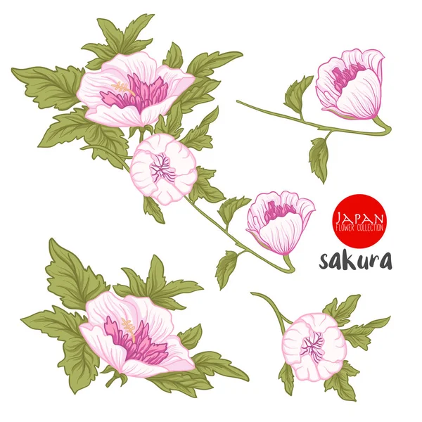Iris and wild rose flowers. Stock line vector illustration botan Stock