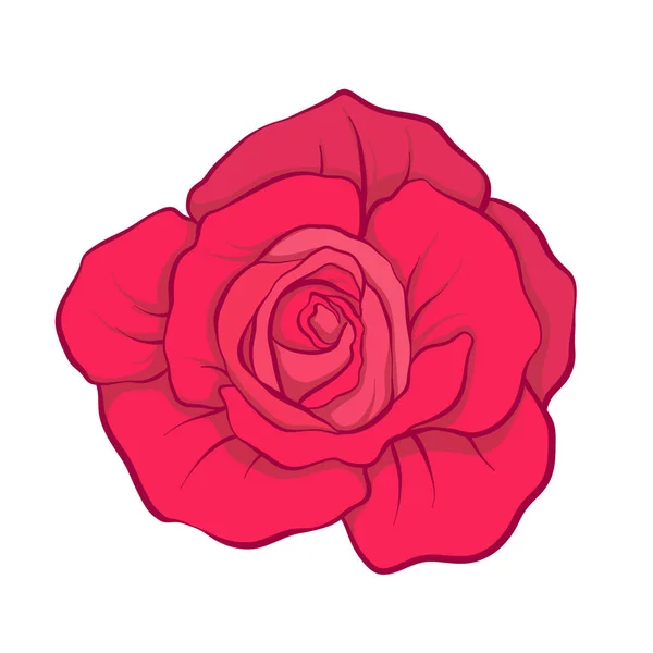 Rosa rossa fiore isolato disegnato a mano. Illustrazione vettoriale linea di scorta — Vettoriale Stock