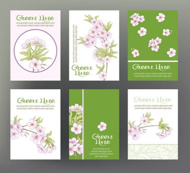 Sakura, kiraz. Geleneksel Japon flowe ile altı kartların ayarla