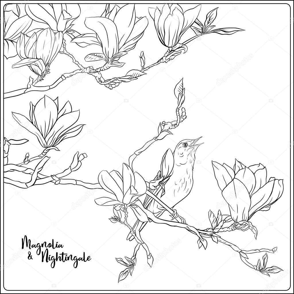 Magnolia tree branch