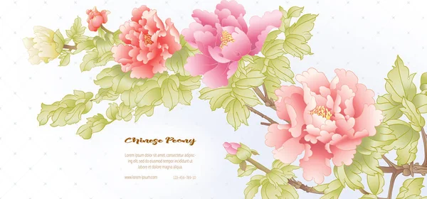 Rama de árbol peónico con flores — Archivo Imágenes Vectoriales