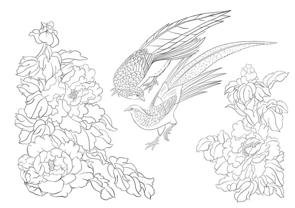 Rama de árbol peónico con flores con faisanes — Archivo Imágenes Vectoriales