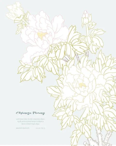 Zweig der Pfingstrose mit Blumen — Stockvektor