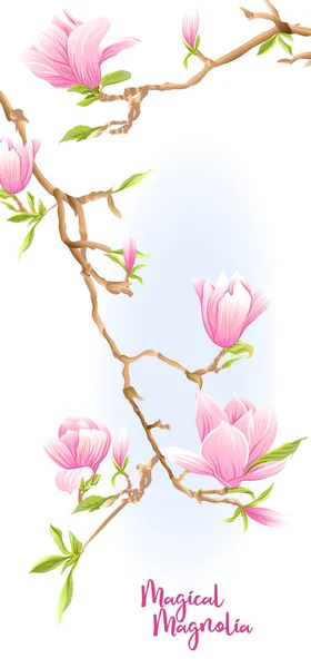 Magnolia tree branch with flowers. — Stock Vector