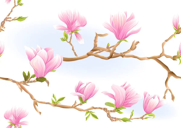 Magnolia ramo da árvore —  Vetores de Stock