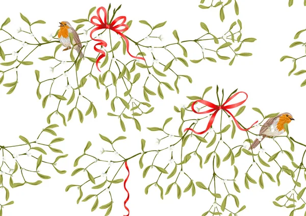 Seamless pattern Mistletoe, Robin bird — Stock Vector