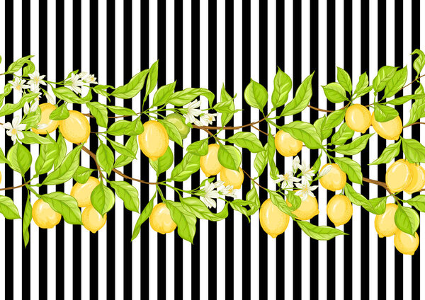 Lemon tree branch with lemons