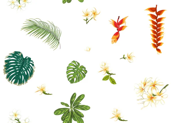 Seamless pattern, background with tropical plants — Stock Vector