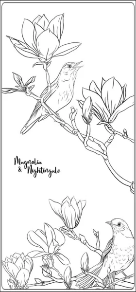 Ramo dell'albero di Magnolia — Vettoriale Stock