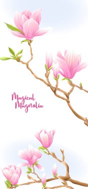 Çiçekli manolya ağacı dalı.