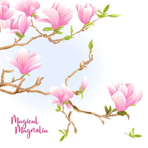 Magnolia trädgren med blommor. — Stock vektor