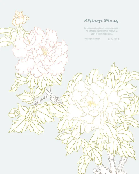 Branche de pivoine avec fleurs — Image vectorielle