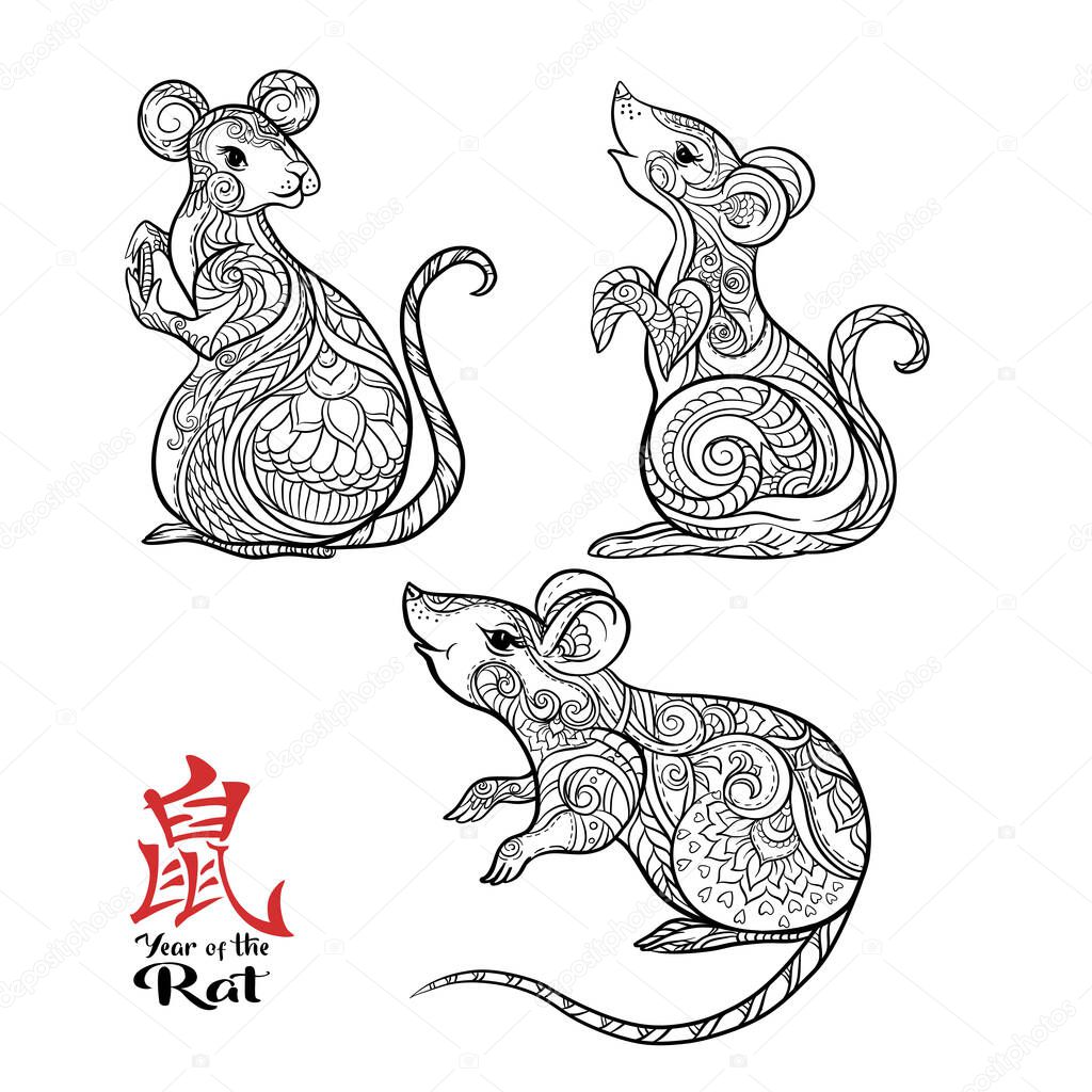 Set of three mouse, rat.