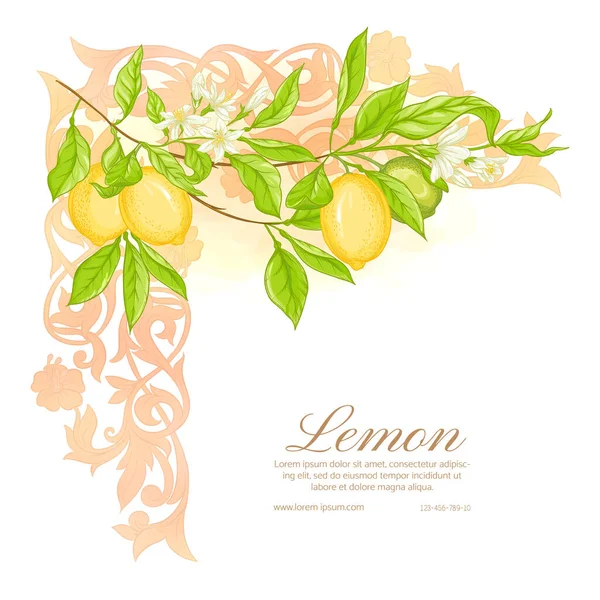 Lemon tree branch with lemons — Stock Vector