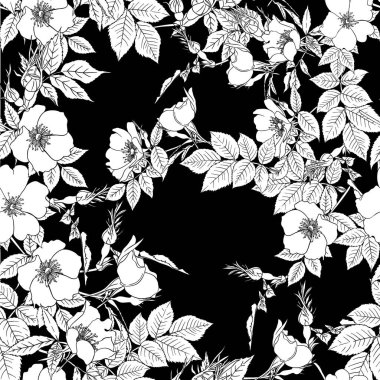 Köpek gülü, briar, brier, eglantin, kantar gülü. 