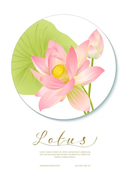 Rosa Lotus. Mall för bröllopsinbjudan — Stock vektor