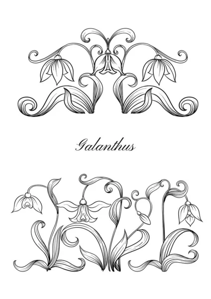 Galanthus, bucaneve, nivalis. Set di elementi per il design — Vettoriale Stock
