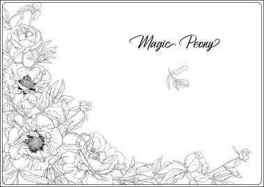 Beyaz Şakayık. Yetişkin için renklendirme sayfası