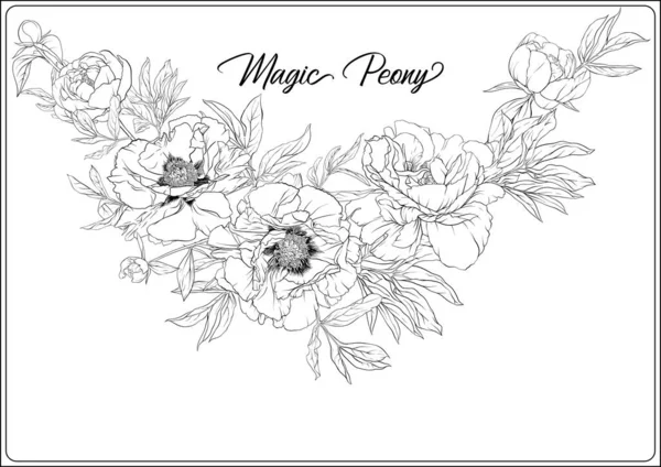 White Peony. Página para colorear para el adulto — Archivo Imágenes Vectoriales