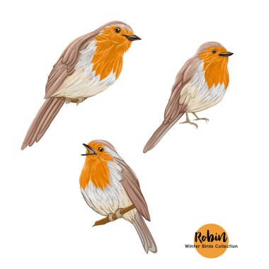Robin Bird - Noel sembolü.