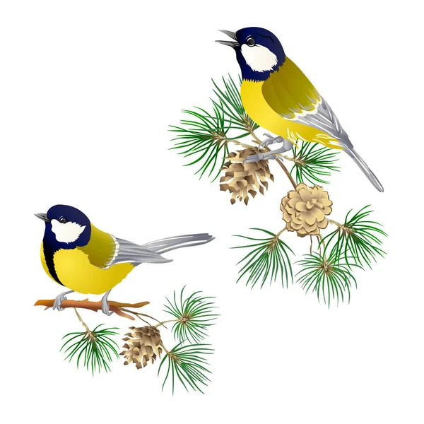 Kozí pták - symbol zimy. Vánoční věnec — Stockový vektor
