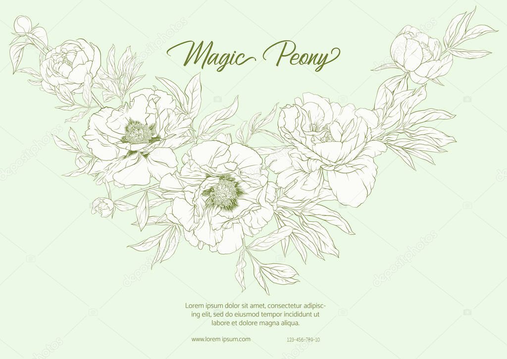 White Peony. Template for wedding invitation,