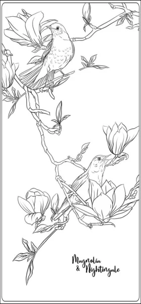 Magnolia branche d'arbre — Image vectorielle